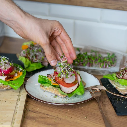 Germinador Zielona Czuprynka com sementes de rabanete - 11