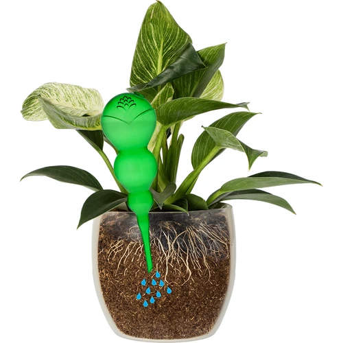 Globo de rega triplo (tricompartimentado), verde transparente, 600 ml - 3