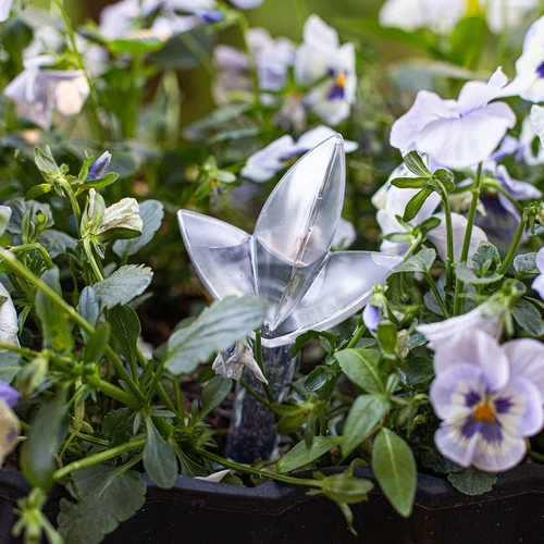 Irrigador para plantas – folha transparente, 120 ml - 8