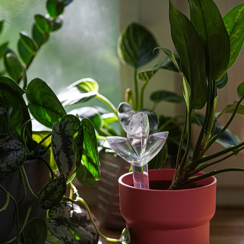 Irrigador para plantas – folha transparente com cone de cerâmica, 120 ml - 9