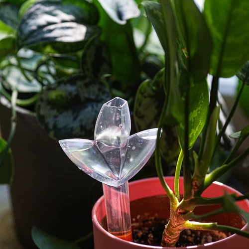Irrigador para plantas – folha transparente com pé de cerâmica, 120 ml - 10