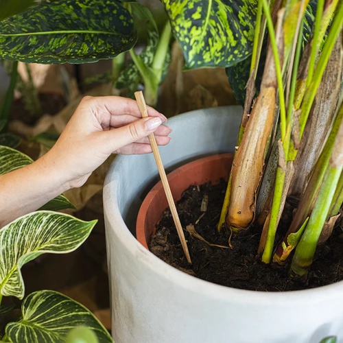 Irrigador para plantas – folha verde com pé de cerâmica, 120 ml - 7