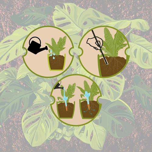 Irrigador para plantas – folha verde com pé de cerâmica, 120 ml - 10