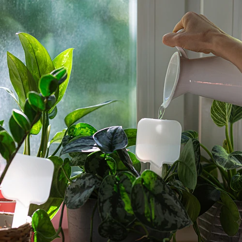 Irrigador para plantas - placa branca com perna de cerâmica, 200 ml - 8