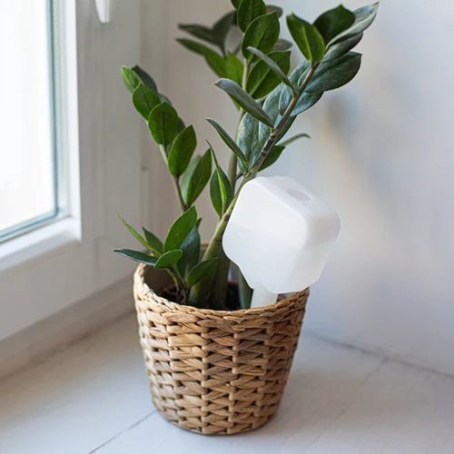 Irrigador para plantas - placa branca com perna de cerâmica, 200 ml - 9