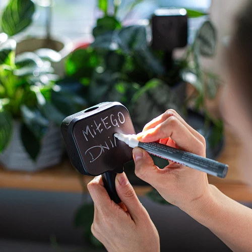 Irrigador para plantas – placa de ardósia preta com estaca de cerâmica, 200 ml - 8