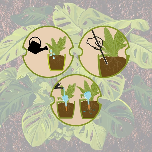 Irrigador para plantas – placa preta com pé de cerâmica, 200 ml - 10