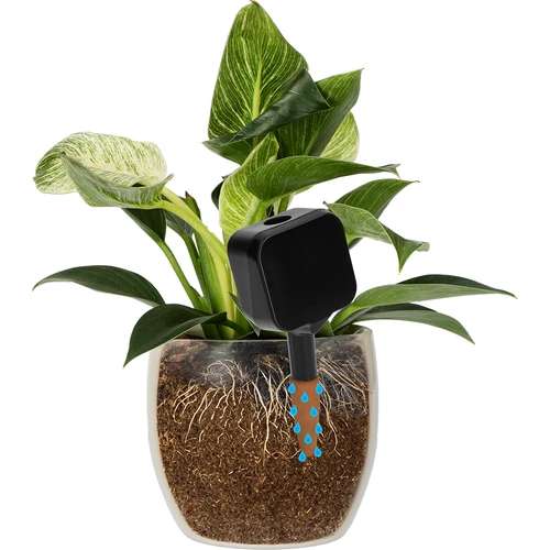 Irrigador para plantas – placa preta com pé de cerâmica, 200 ml - 6