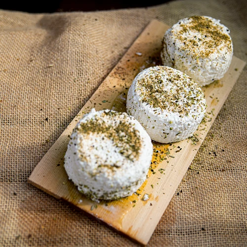 Kit de Queijaria - Jovem Queijeiro - 11