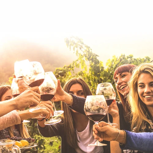 Kit de vinificação 15 L com garrafão de vidro - 15