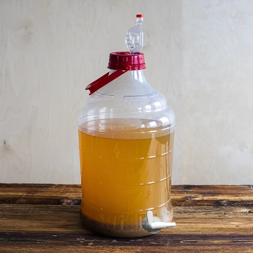 Kit de Vinificação Easy – uma forma fácil de fazer vinho caseiro - 17