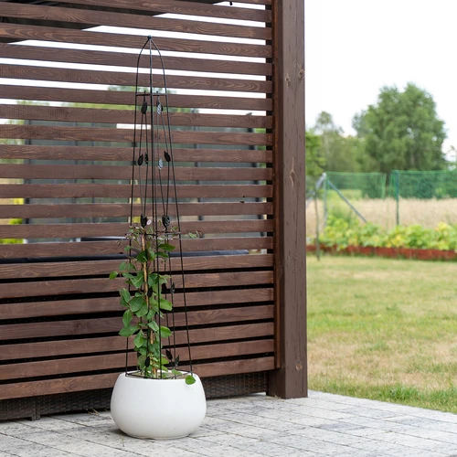 Pérgola decorativa - Pirâmide, 150 cm - 5