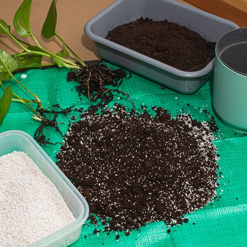 Perlita para plantas em vasos e jardinagem, 2L - 7