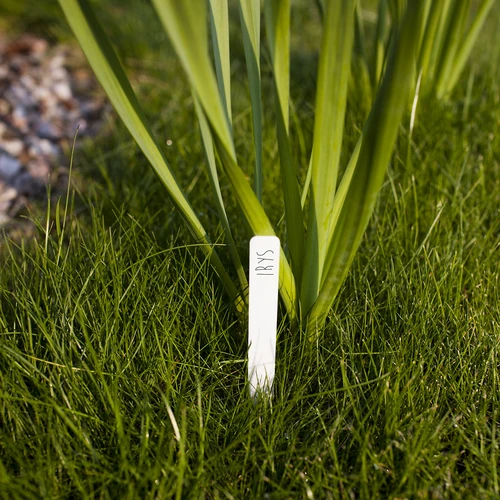 Plaquetas para descrever plantas + lápis mix 10+20 unid. - 7
