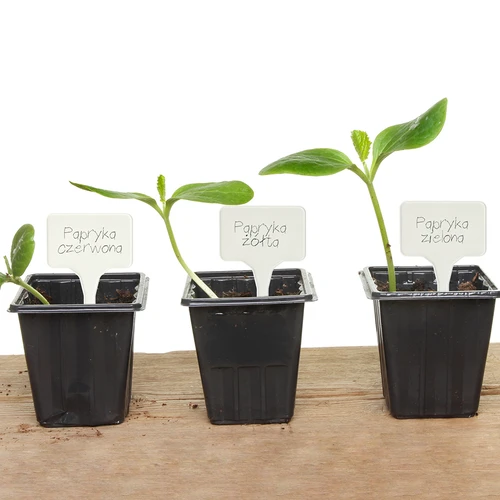 Plaquetas para descrever plantas + lápis mix 10+20 unid. - 12