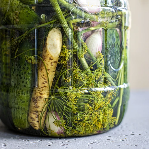 Pote inquebrável para fermentação, 3 L - 8
