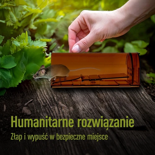 Pułapka na myszy – żywołapka, transparentna, 2 szt. - 7