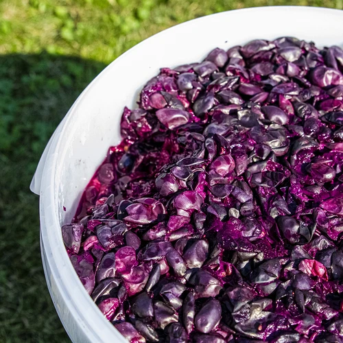 Recipiente de fermentação 30 L, branco com impressão, torneira e 2 borbulhadores - j.EN - 9