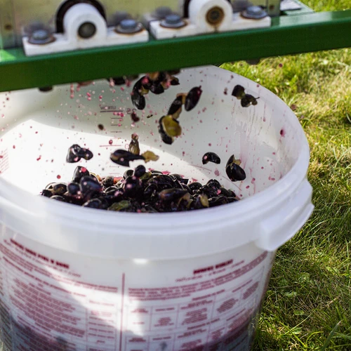 Recipiente de fermentação de 30 L com tampa e torneira - 16