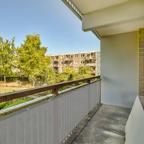 Rede de sombreamento (80%, 140 g/m²) 0,9x5 m, grafite - 8