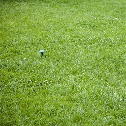 Repelente para toupeiras alimentado por bateria solar - 10