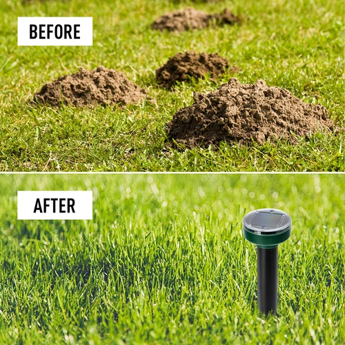 Repelente solar de toupeiras – proteção eficaz, segura e humanitária para o jardim, 1 un. - 12