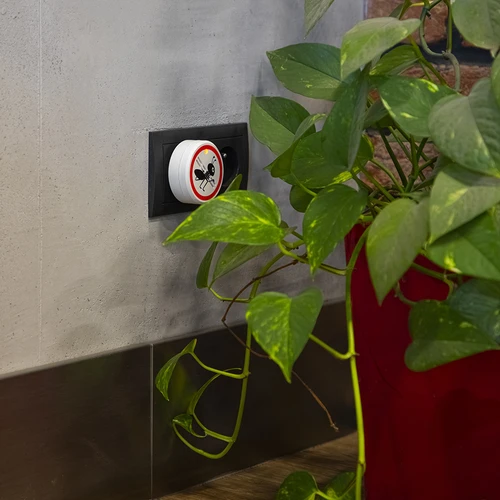 Repelente ultrassónico de formigas - para uso doméstico - 8