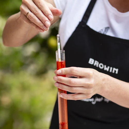 Sacarímetro para vinho (hidrómetro de açúcar) – medição da concentração de açúcar - 6