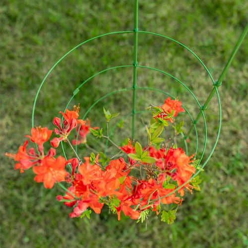 Suporte anelar para plantas, 4 anéis, 1 m - 5