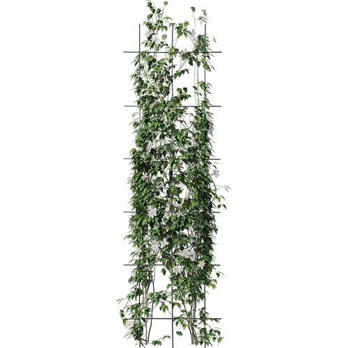 Suporte para plantas - treliça (150 cm x 45 cm) - 3 unidades - 3