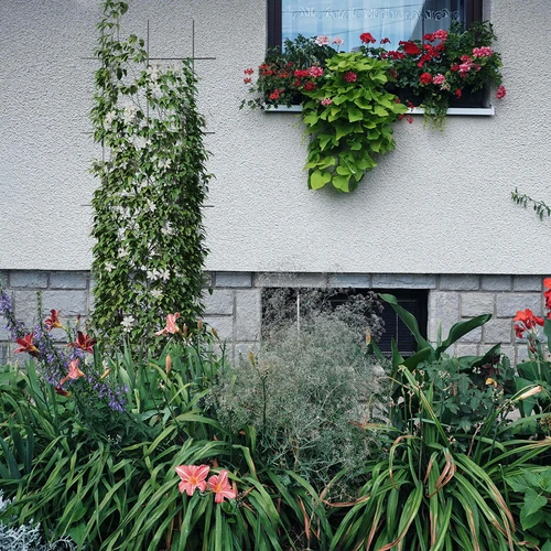 Suporte para plantas - treliça (150cm x 45cm) 3 peças - 4