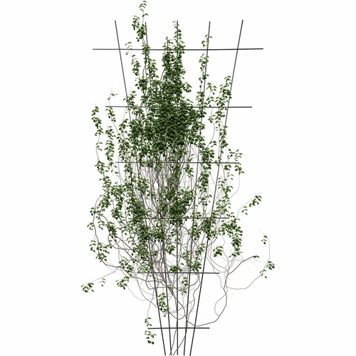 Suporte para plantas - treliça (150cm x 75cm) 2 peças - 3