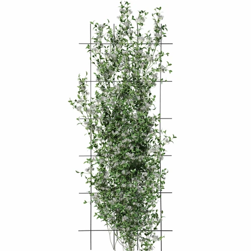 Suporte para plantas – treliça de jardim 150 x 60cm - 3