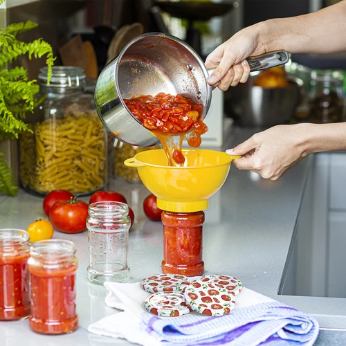 Tampa fi 66/4 com tomates - avulsa - 5