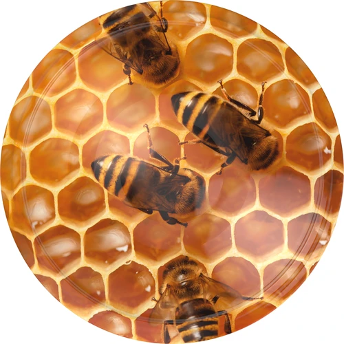 Tampa fi 82/6 (motivo mel) - 10 unid.