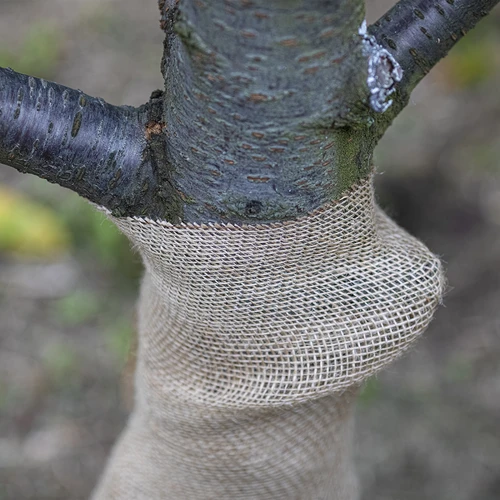 Taśma jutowa 10 cm/5 m - 7