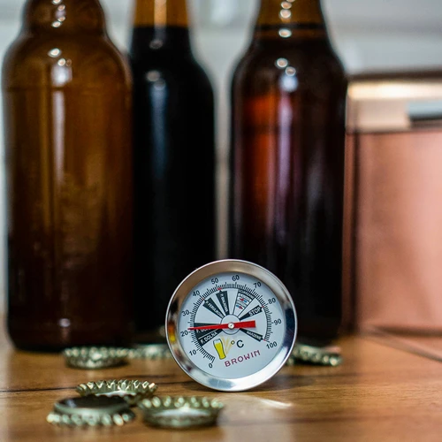 Termómetro cervejeiro (0°C a +100°C) 31,5 cm - 5