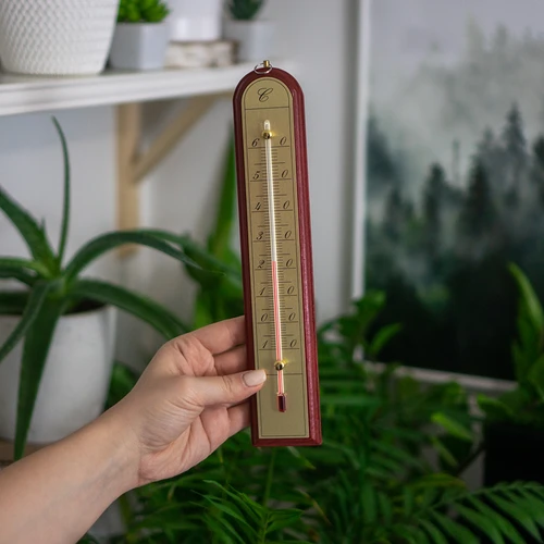 Termômetro de ambiente com escala dourada (-10°C a +60°C) 28cm mix - 6