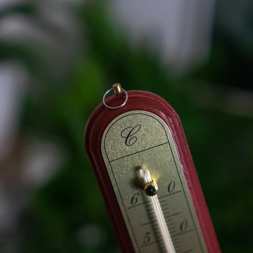 Termômetro de ambiente com escala dourada (-10°C a +60°C) 28cm mix - 7