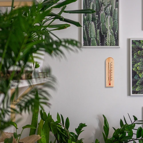 Termómetro de ambiente com padrão (-20°C a +50°C) 15 cm - 6