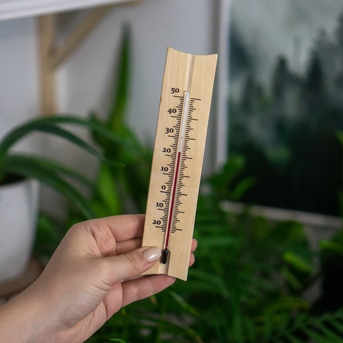 Termômetro de ambiente com padrão (-20°C a +50°C) 18cm - 3