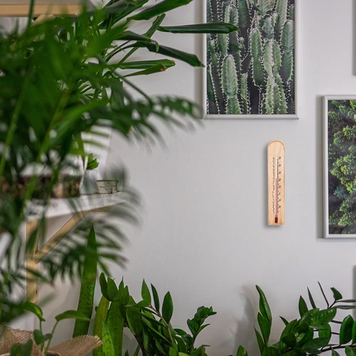 Termômetro de ambiente com padrão (-20°C a +50°C) 20cm - 5