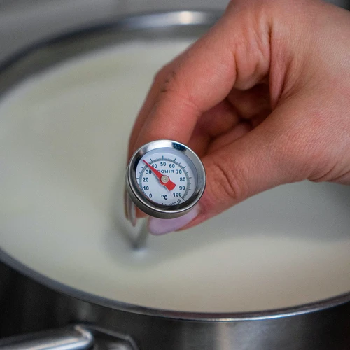 Termómetro de cozinha (0 °C a +100 °C) 12,3 cm - 5