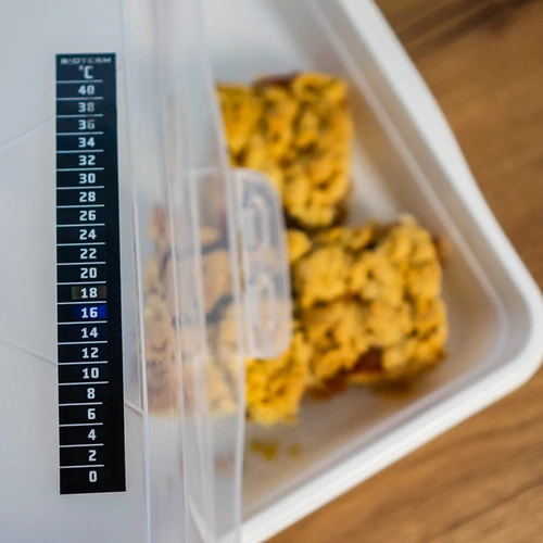 Termómetro de cristais líquidos (0°C a +40°C) 15 cm - 5