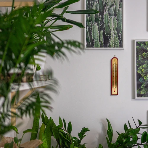 Termómetro de interior com escala dourada (-10°C a +60°C) 28 cm, sortido - 8