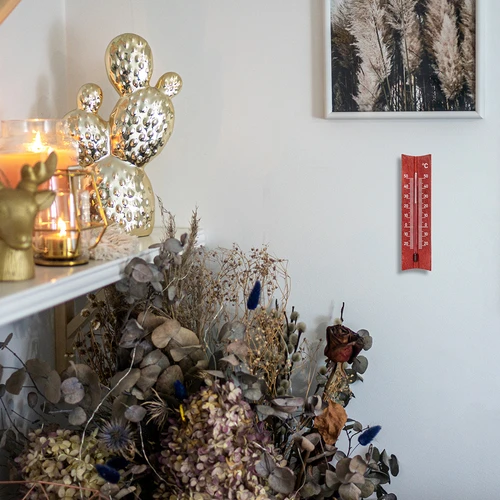 Termómetro de interior em madeira (-20 a +50°C), 15 cm, sortido - 8