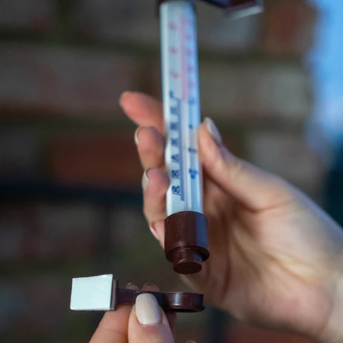 Termómetro exterior castanho (-50°C a +50°C) 18 cm - 5