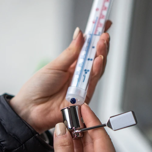 Termómetro exterior com estrutura metálica (-50°C a +50°C) 20 cm - 4