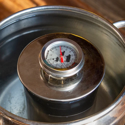 Termómetro para assar carnes (0°C a +120°C) 12,5 cm - 12