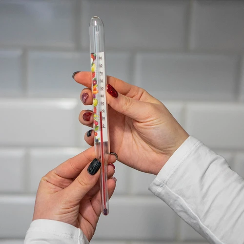 Termómetro para conservas (0°C a +100°C) 22 cm - 5